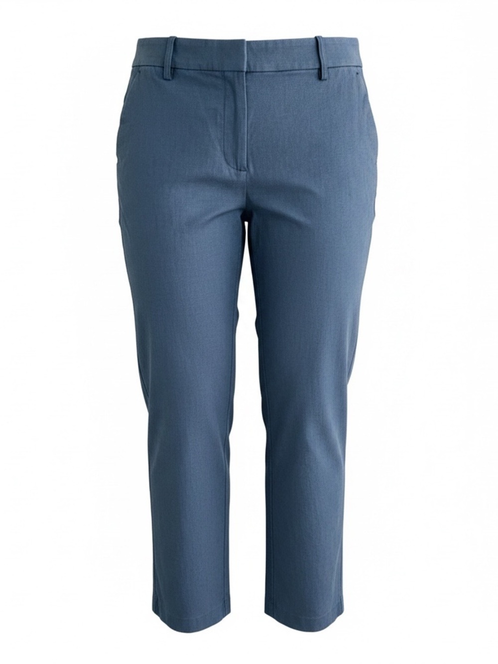 LOFT Women’s Blue Textured Ankle Pants